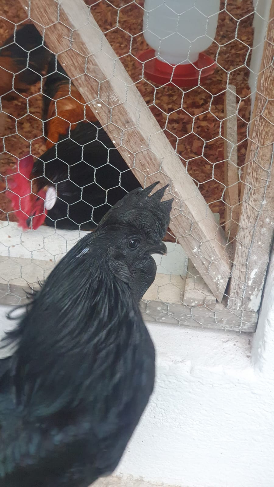 WhatsApp Image 2023-09-05 at 17.52.05 (1)