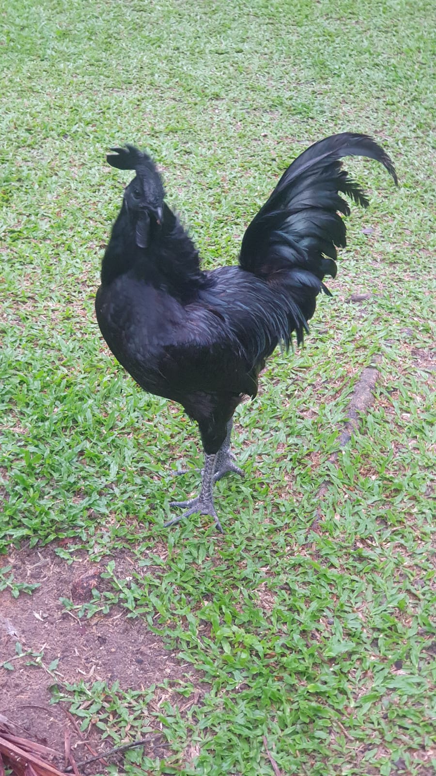 WhatsApp Image 2023-09-05 at 17.52.06