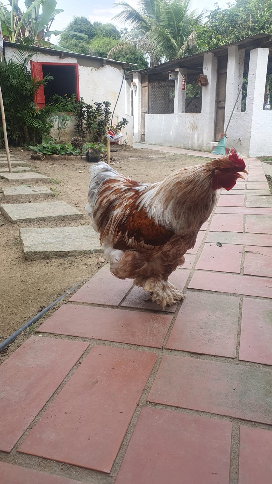 WhatsApp Image 2023-09-05 at 17.52.49 (3)