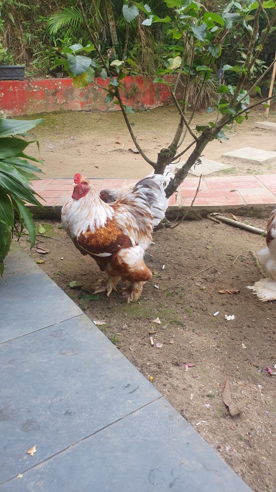 WhatsApp Image 2023-09-05 at 17.52.50 (1)